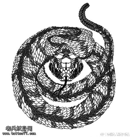 惊悚的眼镜蛇cq9电子制图案