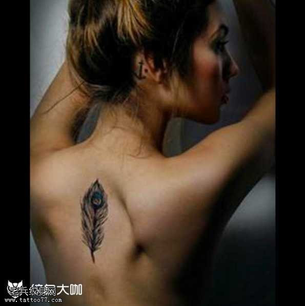 背部羽毛cq9电子制图案
