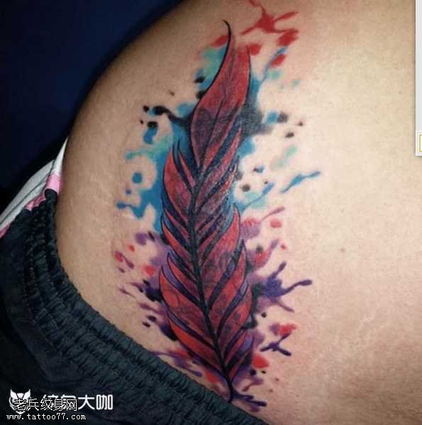 背部红羽毛cq9电子制图案