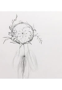 捕梦网花朵cq9电子手稿制图案