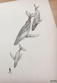 黑灰鲸鱼人cq9电子手稿