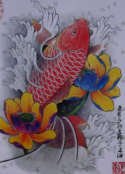 鲤鱼莲花cq9电子手稿