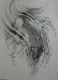 鲤鱼莲花cq9电子手稿