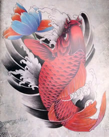 一款漂亮的鲤鱼莲花cq9电子手稿