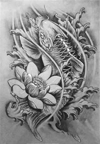 莲花鲤鱼线稿cq9电子制图片