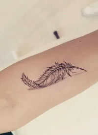 清新精致的羽毛cq9电子制图片9篇