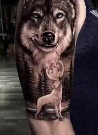 凶猛霸气的一列狼cq9电子制图片