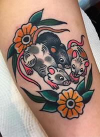 关于生肖鼠的一列老鼠cq9电子制图片