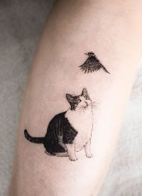 一列猫温暖且柔软的小猫cq9电子制图片