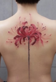 好看的9篇彼岸花主题cq9电子作品制图片