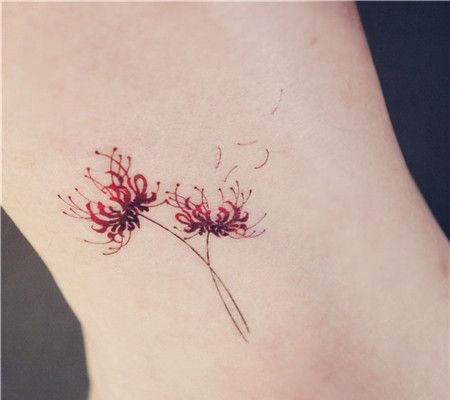 脚踝红色小彼岸花cq9电子制图片