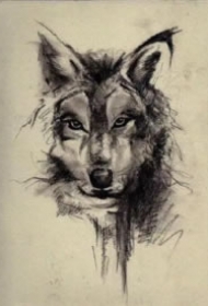 好看的15款狼cq9电子作品和手稿赏析