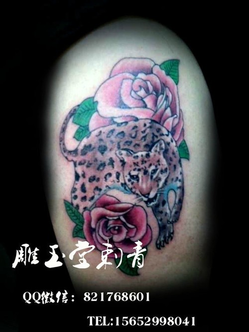 时尚个性的花豹cq9电子